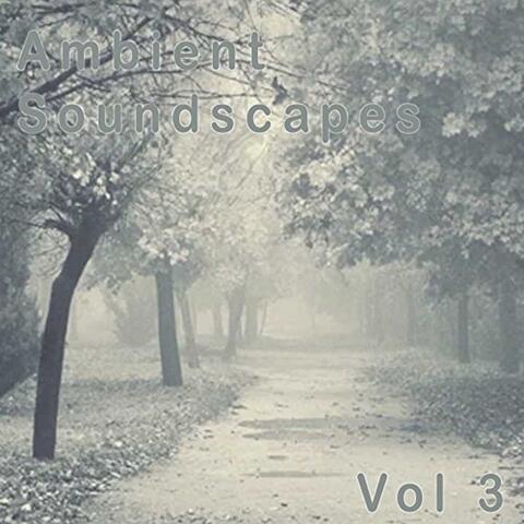 Ambient SoundScapes