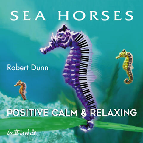 Sea Horses: Positive, Calm & Relaxing