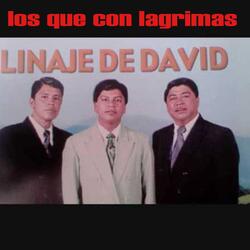 Oh Sin tardar