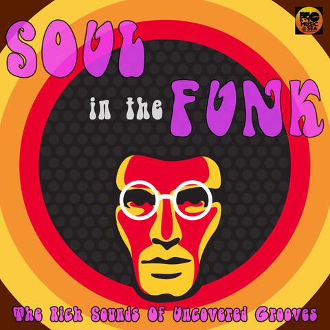 Soul in the Funk: The Rich Sounds of Uncovered Grooves