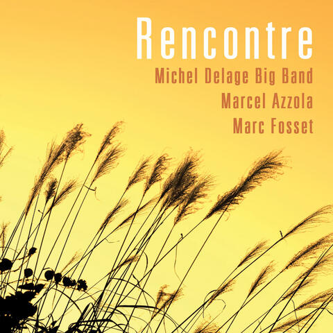 Michel Delage Big Band
