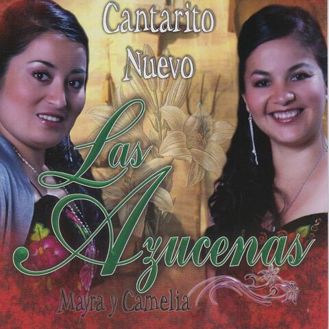 Cantarito Nuevo