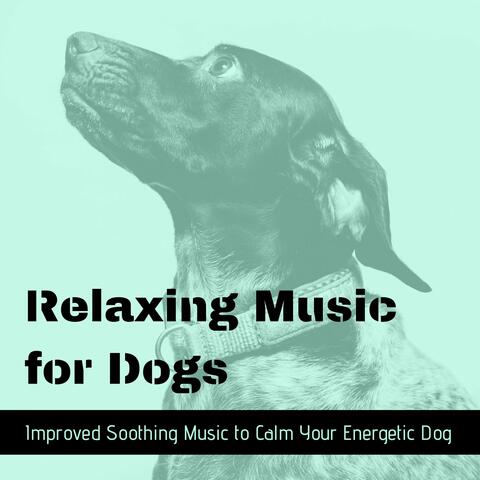 Relaxing Music for Dogs - Improved Soothing Music to Calm Your Energetic Dog