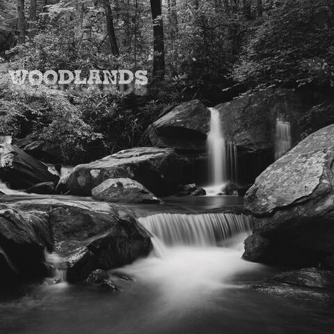 Woodlands
