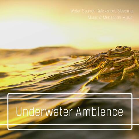 Ocean Waves & Naturescapes for Mindfulness Meditation