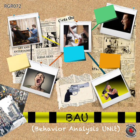 Behavioral Analysis Unit (BAU)