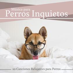 Déjate Llevar