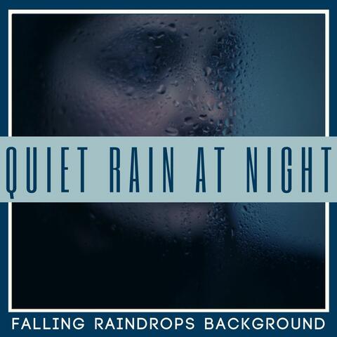 Quiet Rain at Night: Misty Forest Falling Raindrops Background Sounds of Nature