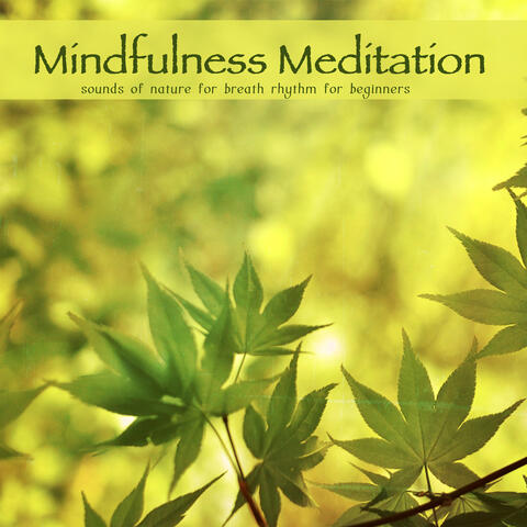 Mindfulness Meditation: Sounds of Nature for Breath Rhythm for Beginners