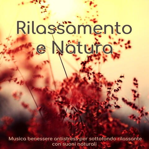 Rilassamento e natura: Musica benessere antistress per sottofondo rilassante con suoni naturali