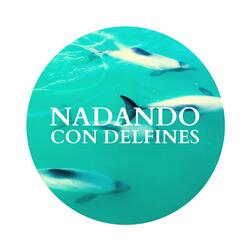 Nadando con Delfines