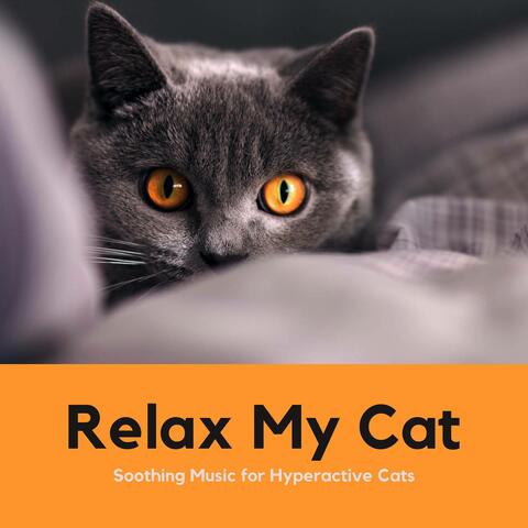 Relax My Cat: Relaxing, Soothing Music for Hyperactive Cats