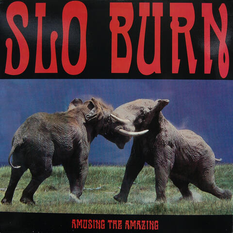 Slo Burn