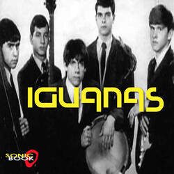 Johnny B. Goode (feat. Iggy Pop)