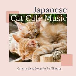 Peaceful Song for Kittens