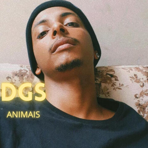animais