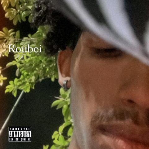 Roubei