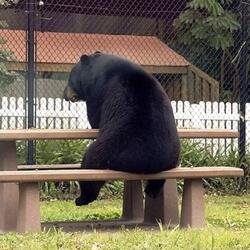 difícil lembrar, ruim de esquecer