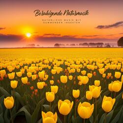 Geheimnisvolles Rauschen der Küste