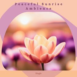 Peaceful Sunrise Ambience