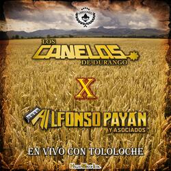 Consuelito ( Tololoche)