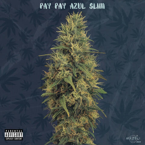 Pay Pay Azul Slim