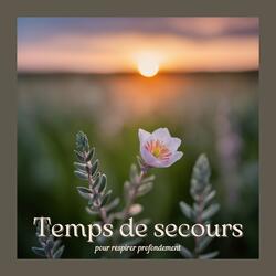 Temps de secours