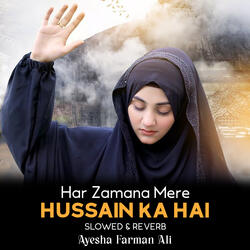 Har Zamana Mere Hussain Ka Hai Lofi