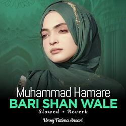 Muhammad Hamare Bari Shan Wale Lofi