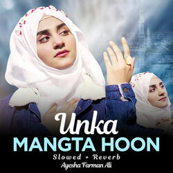 Unka Mangta Hoon Lofi