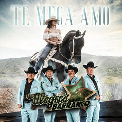 Te Mega Amo