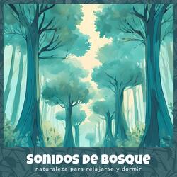 Sombra de los Árboles