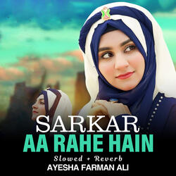 Sarkar Aa Rahe Hain Lofi