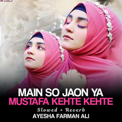 Main So Jaon Ya Mustafa Kehte Kehte Lofi