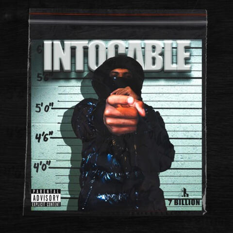 INTOCABLE
