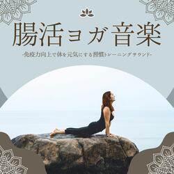 空間の浄化