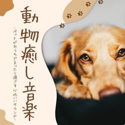 動物の好きな音楽