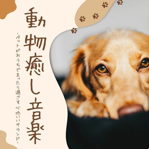 動物癒し音楽：犬猫リラックス自然サウンド・雨の日お留守番まったりミュージック
