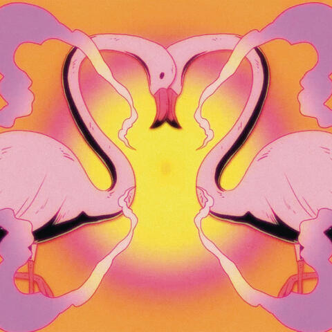 Nebula Gazer