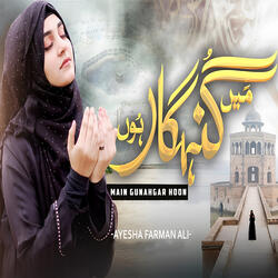 Main Gunahgar Hoon