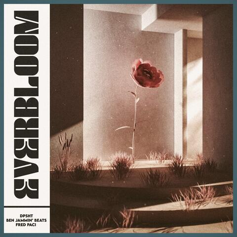 Everbloom