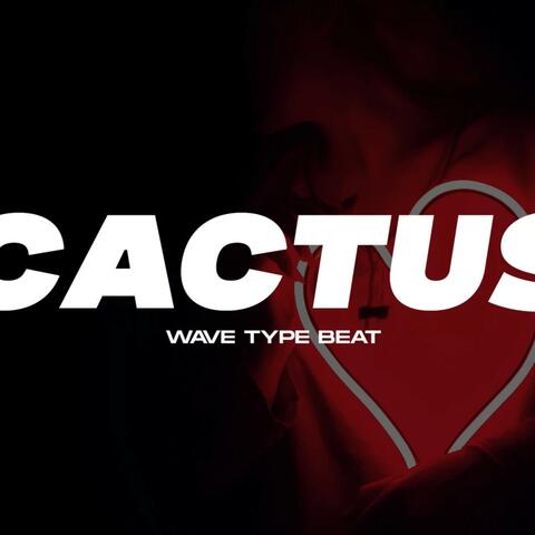 "Cactus" - Wave Type Beat