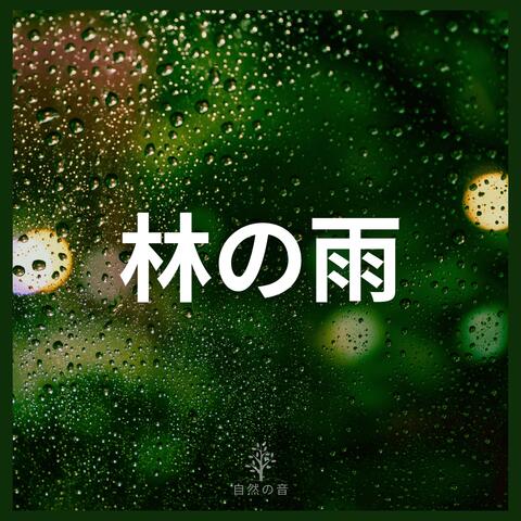 林の雨