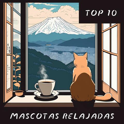 Top 10 Mascotas Relajadas - La Mejor Playlist para Relajar a Tus Amigos Animales