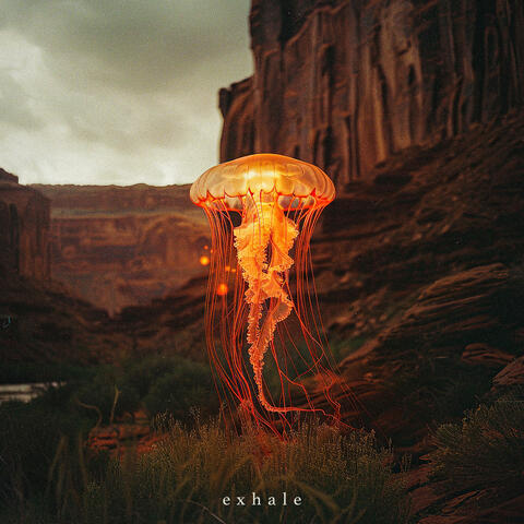 Exhale