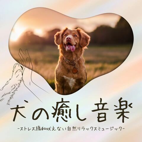 犬の癒し音楽：まったりストレス緩和自然サウンド・吠えない雨音水音ヒーリングミュージック