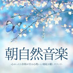 朝の雨音