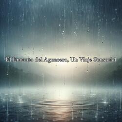 El Abrazo de la Lluvia, Confort en Tiempos Grises