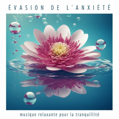 Évasion de l'Anxiété: Musique Relaxante pour la Tranquillité et le Bien-Être