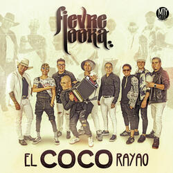 El coco rayao